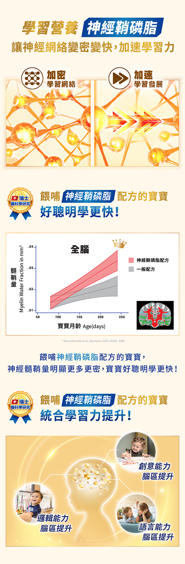 神經鞘磷脂讓神經網路更密更快